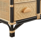 Janne Arched Natural Rattan Bookshelf, Black